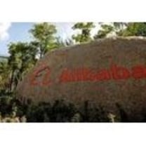 Anti-Counterfeiting group suspends Alibaba's membership