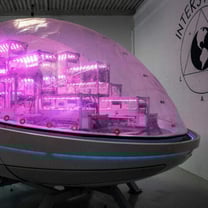 Cuando la perfumería se inspira en la investigación espacial para salvar las rosas terrestres