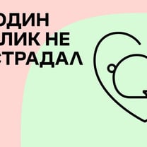 Lamoda запустила собственный подкаст
