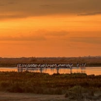 Astonishing Hermès – Erstaunliche Show in der Camargue