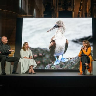 Latest Prada Possible Conversation tackles ocean literacy through art